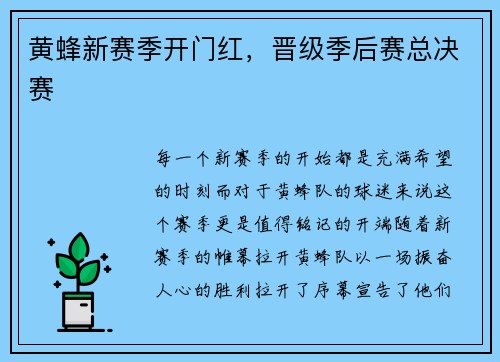 黄蜂新赛季开门红，晋级季后赛总决赛